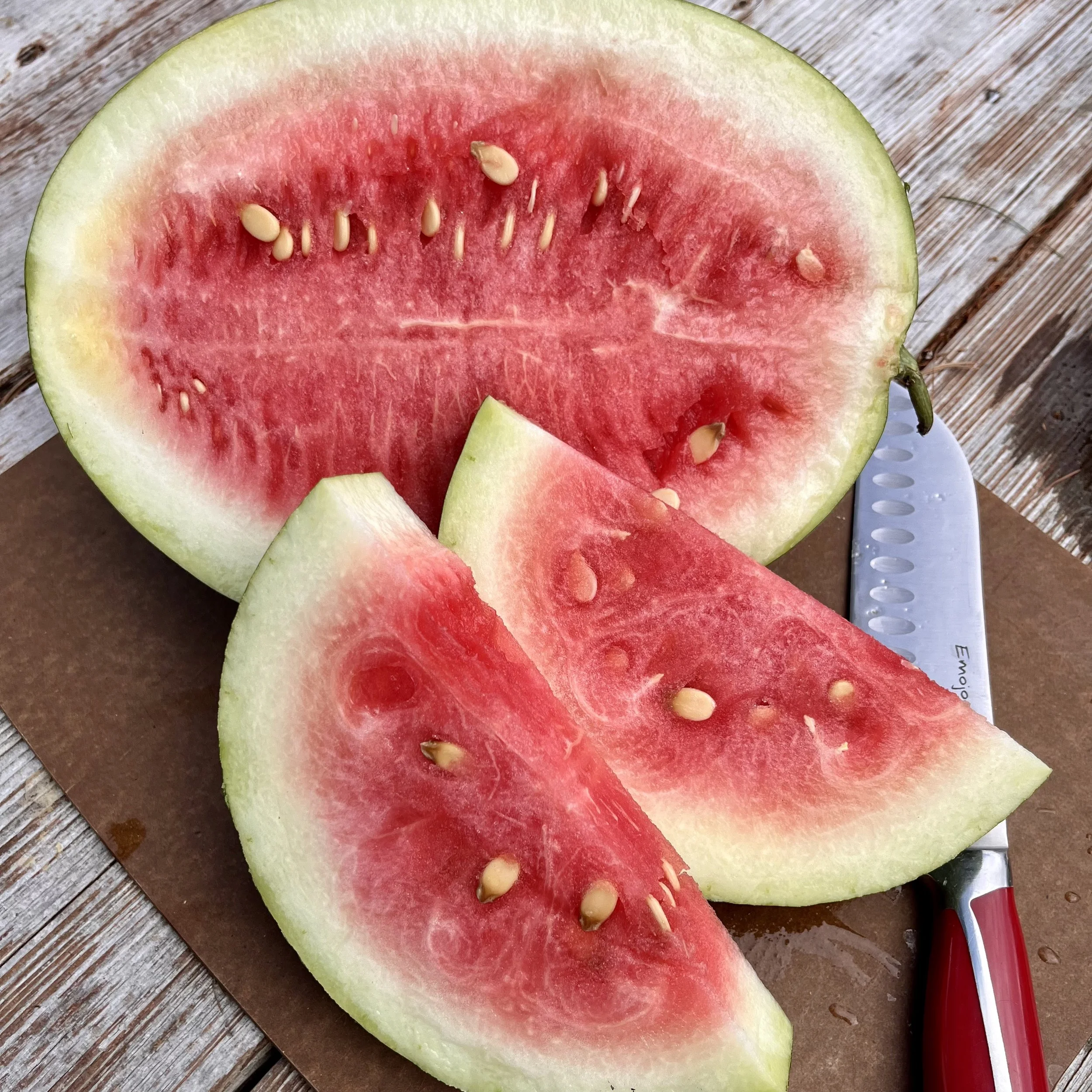 Green Zebra Tomato — Antisana Seed Company